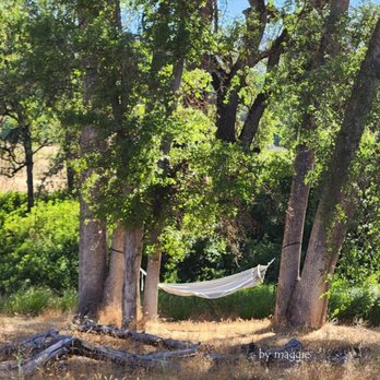 Sierra Meadows Cabins - Sierra Meadows, Oakhurst: 2025 Jul 6 - Resorts Near Me - Ahwahnee, California Sierra Meadows Cabins - Sierra Meadows, Oakhurst: 2025 Jul 6 - Resorts Near Me - Ahwahnee, California