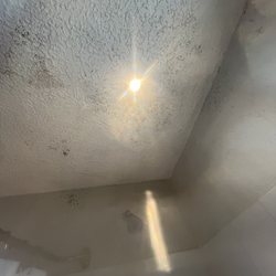Hotel Rio Puerto Vallarta - Mold
