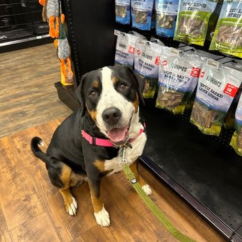 Kahoots Pet Store - Pet Stores Near Me - San Diego, California