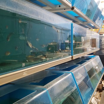 Fish Warehouse - Local Fish Stores Near Me - Westminster, California
