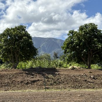 North Shore Stables - ATV Rentals/Tours Near Me - Waialua, Hawaii North Shore Stables - ATV Rentals/Tours Near Me - Waialua, Hawaii