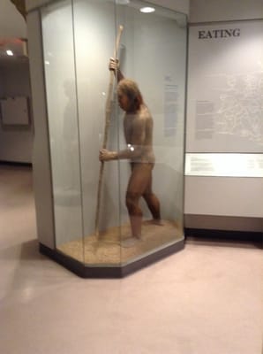 Maxwell Museum of Anthropology by null