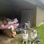 Photo of Bothell Brothers Junk Removal