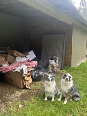 Bothell Brothers Junk Removal