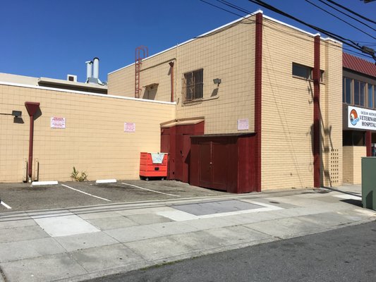 ocean ave pet hospital