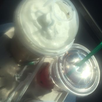 Starbucks - A FLY! In my iced mocha !!! - Coffee & Tea Near Me - Wichita, Kansas Starbucks - A FLY! In my iced mocha !!! - Coffee & Tea Near Me - Wichita, Kansas