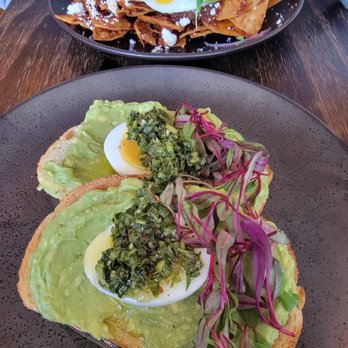 Lost Parrot Cafe - Avocado toast with chimichurri? Way too oily - Breakfast & Brunch Near Me - South Pasadena, California Lost Parrot Cafe - Avocado toast with chimichurri? Way too oily - Breakfast & Brunch Near Me - South Pasadena, California