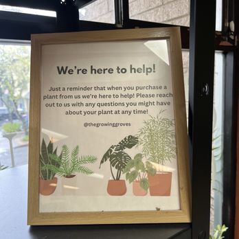 The Growing Groves Plant Shop - Nurseries & Gardening Near Me - Davis, California The Growing Groves Plant Shop - Nurseries & Gardening Near Me - Davis, California