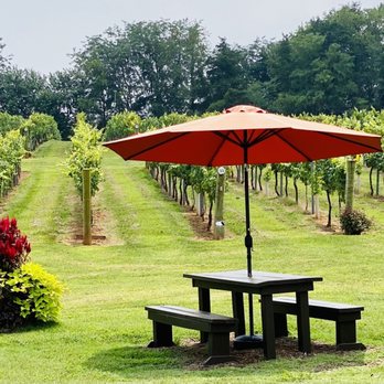Hidden Vineyard - Outside sitting area. - Wine Tasting Room Near Me - Dobson, North Carolina Hidden Vineyard - Outside sitting area. - Wine Tasting Room Near Me - Dobson, North Carolina