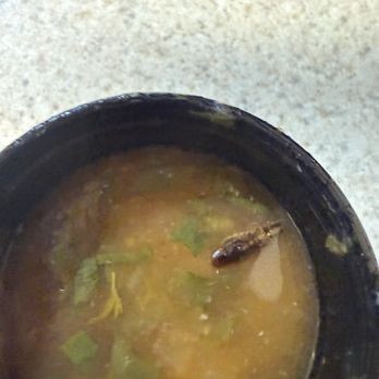 3 Amigos - Roach in my sauce. - Mexican Near Me - Yorktown, Virginia