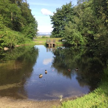 Mill Creek Earthworks Park - Parks Near Me - Kent, Washington Mill Creek Earthworks Park - Parks Near Me - Kent, Washington