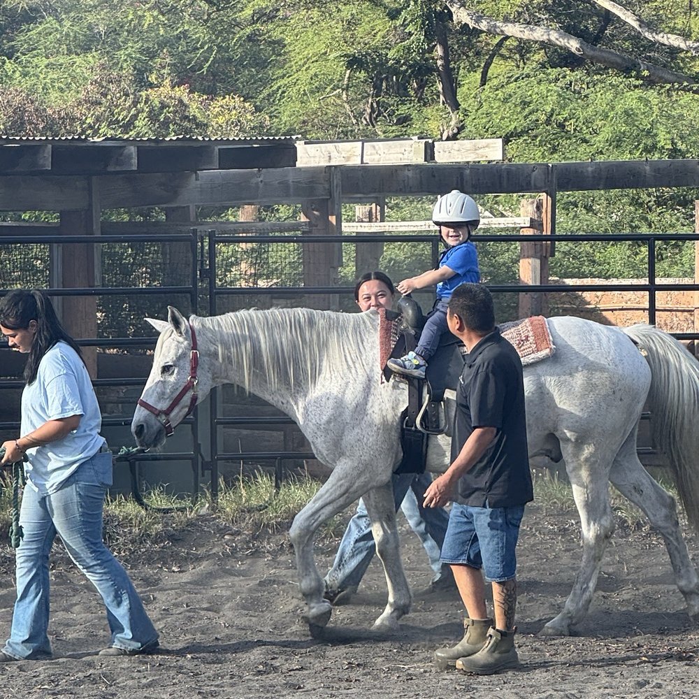 Aloha Riding Lessons - Horseback Riding Near Me - Honolulu, Hawaii Aloha Riding Lessons - Horseback Riding Near Me - Honolulu, Hawaii