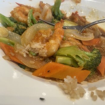 Wild Ginger - Gnats on food - Sushi Bars Near Me - Daytona Beach, Florida