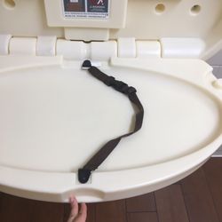 Albertsons - A downside was that the safety strap's buckle seemed stuck in the women's bathroom.
