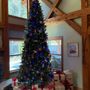 Photo of Black Bear Inn