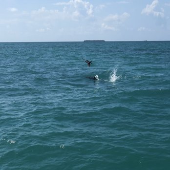Key West Extreme Adventures - Boating Near Me - Key West, Florida