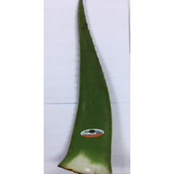 Walmart Supercenter - Aloe Vera Leaf - Grocery Near Me - Yorktown, Virginia
