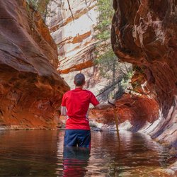 West Fork Trail - Fantastic views in the slot canyon.