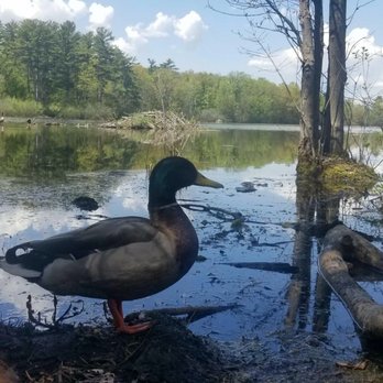 Mud Lake Conservation Area - Hiking Near Me - Ottawa, Ontario