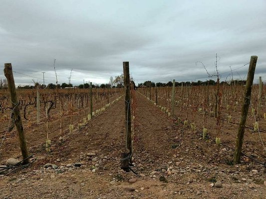 Bodega Ruca Malen by null