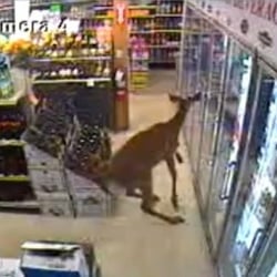 Quick 6 Discount Liquor - More of the only claim to fame this rat pit ever will have.