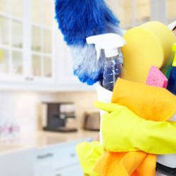 Spotless Cleaning Maid