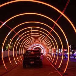 The Light Park