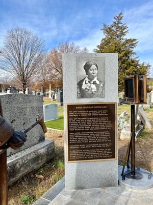 Congressional Cemetery by null