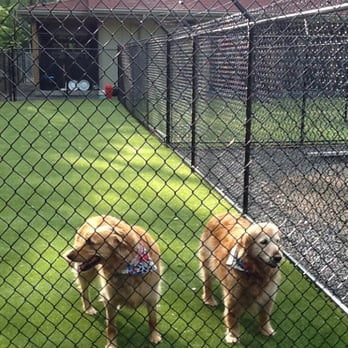 HART for Animals - Animal Shelters Near Me - Accident, Maryland