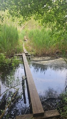 Great Bridge Battlefield & Waterways History Foundation by null