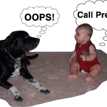 Premier Carpet Care & Water Damage Restoration - Carpet Cleaning Near Me - Washington, Missouri Premier Carpet Care & Water Damage Restoration - Carpet Cleaning Near Me - Washington, Missouri