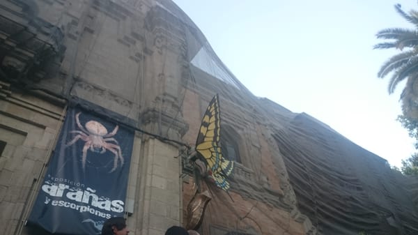 Casa de la Ciencia by null