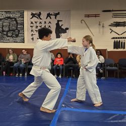Hapkido Tae Kwon Do Institute - More one step sparring for the white belts