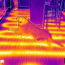 NY STANDARD Home Inspection Consultants - Radiant heat - no leaks. Mickey approves!