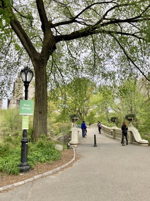 Bow Bridge by null