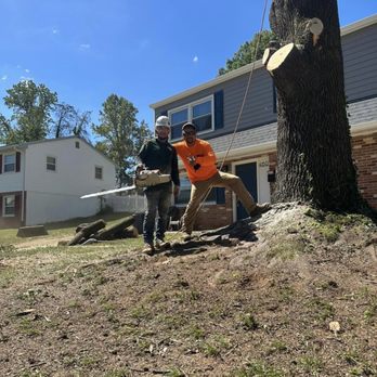 American Tree & Landscaping - Tree Services Near Me - Dumfries, Virginia American Tree & Landscaping - Tree Services Near Me - Dumfries, Virginia