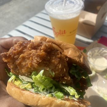 MIXT - Classic Chicken Sandwich - Salad Near Me - San Francisco, California MIXT - Classic Chicken Sandwich - Salad Near Me - San Francisco, California