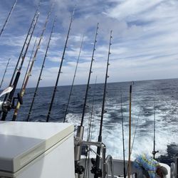 Pacific Venture Charter Services - On the water