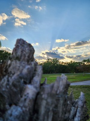 West Lake Park by null