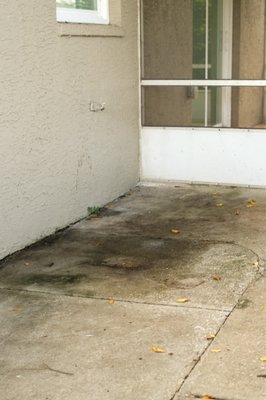 THE BEST 10 WINDOW WASHING in PORT ORANGE, FL - Updated 2025 - Hours - Yelp