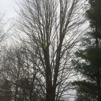 High Climbers Tree Care - Tree Services Near Me - Elyria, Ohio