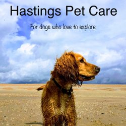 Hastings Pet Care - Rover on the beach 

Dog walkers Hastings