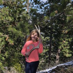 Flowing Springs Ranch - Looking for sheds