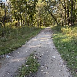 Harms Woods