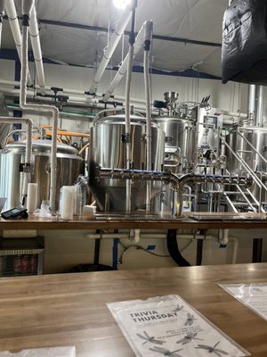 Skeeta Hawk Brewing by null