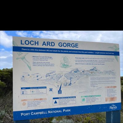 Loch Ard Gorge by null