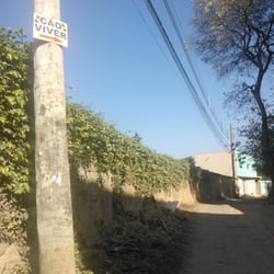 Cão Viver - Ainda bem que tem a plaquinha, pois é bem escondido! ;)