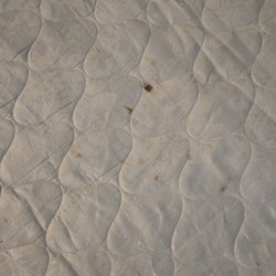Comfort Inn - Blood on mattress