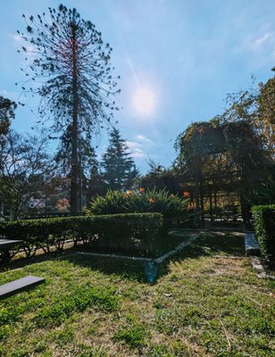 Highland Camrose Park by null