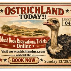 Ostrichland USA - Sunday 12/28/2025